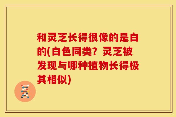 和灵芝长得很像的是白的(白色同类?灵芝被发现与哪种植物长得极其相似)