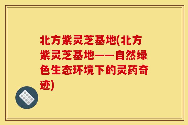 北方紫灵芝基地(北方紫灵芝基地——自然绿色生态环境下的灵药奇迹)