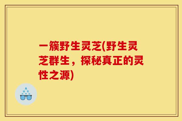 一簇野生灵芝(野生灵芝群生,探秘真正的灵性之源)