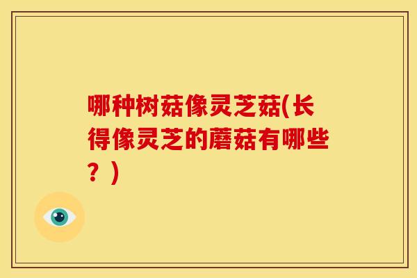 哪种树菇像灵芝菇(长得像灵芝的蘑菇有哪些?)