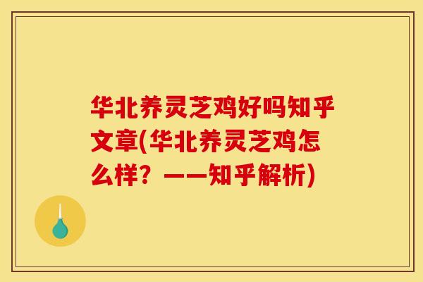 华北养灵芝鸡好吗知乎文章(华北养灵芝鸡怎么样？——知乎解析)