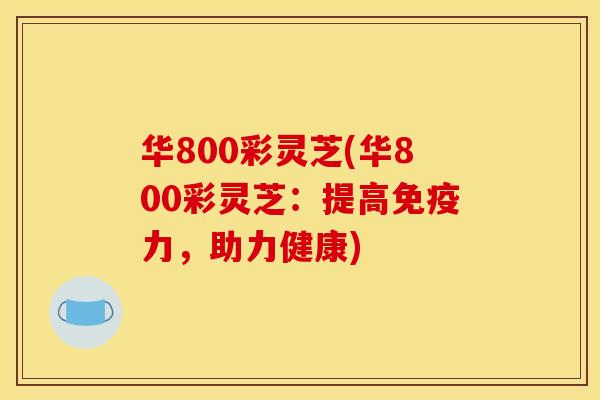 华800彩灵芝(华800彩灵芝:提高免疫力,助力健康)