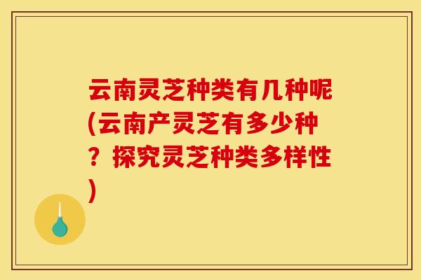 云南灵芝种类有几种呢(云南产灵芝有多少种？探究灵芝种类多样性)