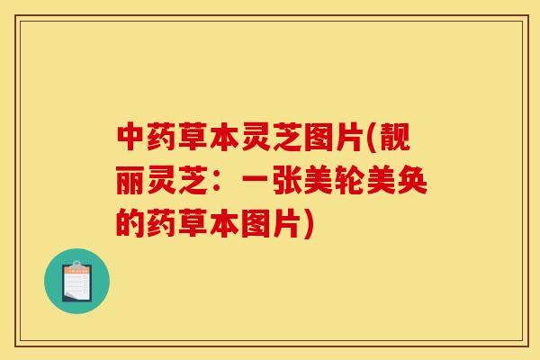 中药草本灵芝图片(靓丽灵芝:一张美轮美奂的药草本图片)