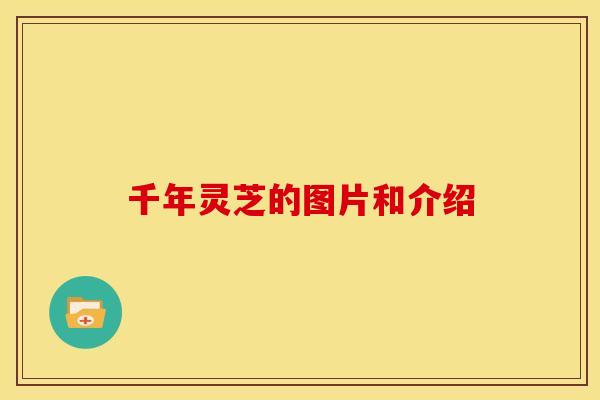 千年灵芝的图片和介绍