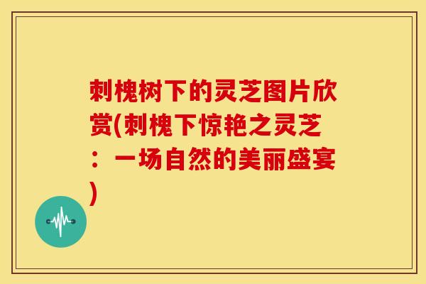 刺槐树下的灵芝图片欣赏(刺槐下惊艳之灵芝:一场自然的美丽盛宴)
