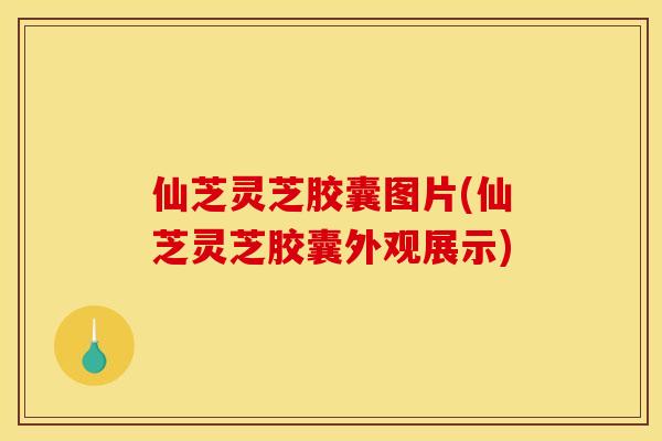 仙芝灵芝胶囊图片(仙芝灵芝胶囊外观展示)