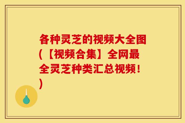各种灵芝的视频大全图(【视频合集】全网最全灵芝种类汇总视频！)