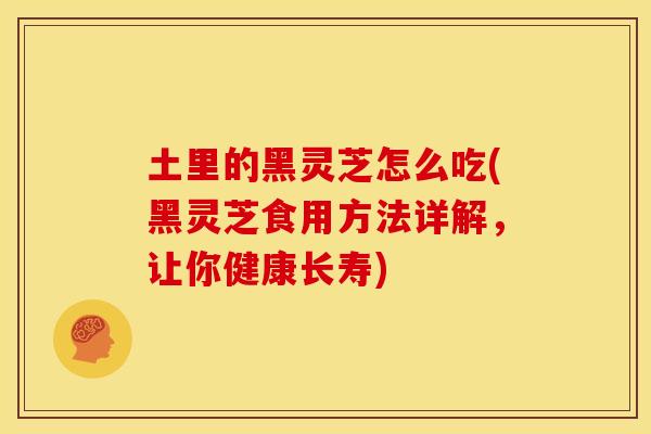 土里的黑灵芝怎么吃(黑灵芝食用方法详解,让你健康长寿)