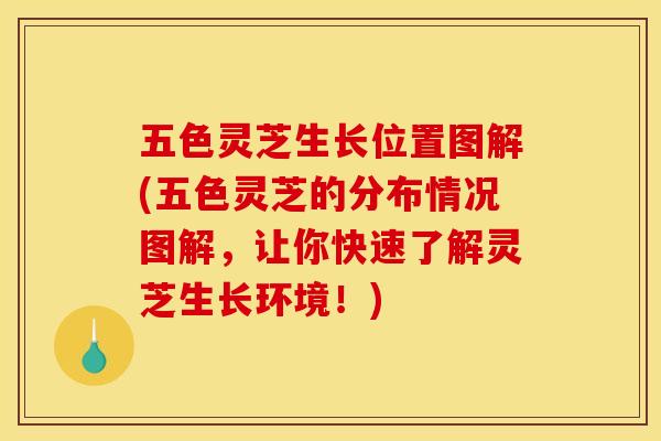 五色灵芝生长位置图解(五色灵芝的分布情况图解,让你快速了解灵芝生长环境!)