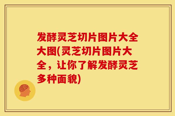发酵灵芝切片图片大全大图(灵芝切片图片大全,让你了解发酵灵芝多种面貌)