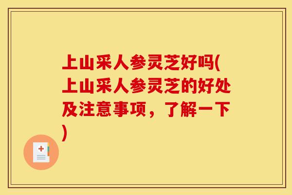 上山采人参灵芝好吗(上山采人参灵芝的好处及注意事项,了解一下)