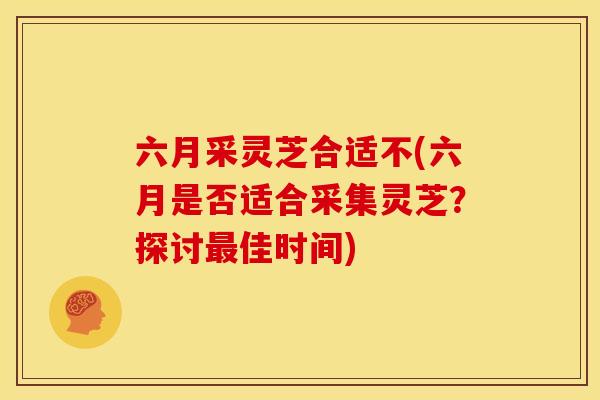 六月采灵芝合适不(六月是否适合采集灵芝?探讨最佳时间)