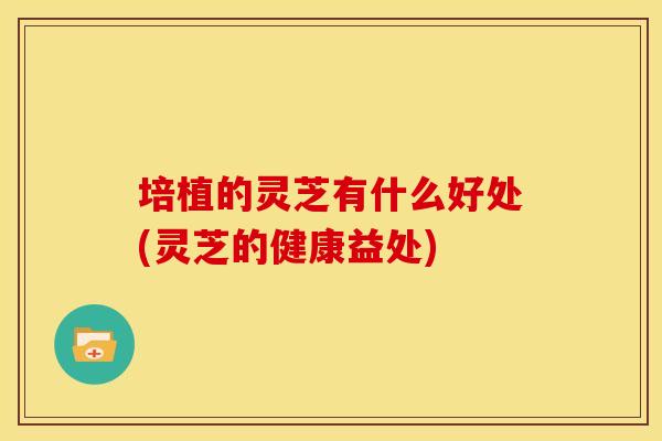 培植的灵芝有什么好处(灵芝的健康益处)