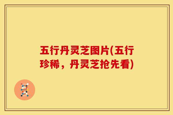 五行丹灵芝图片(五行珍稀,丹灵芝抢先看)