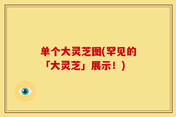 单个大灵芝图(罕见的「大灵芝」展示！)