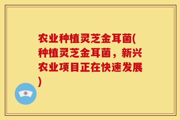 农业种植灵芝金耳菌(种植灵芝金耳菌，新兴农业项目正在快速发展)