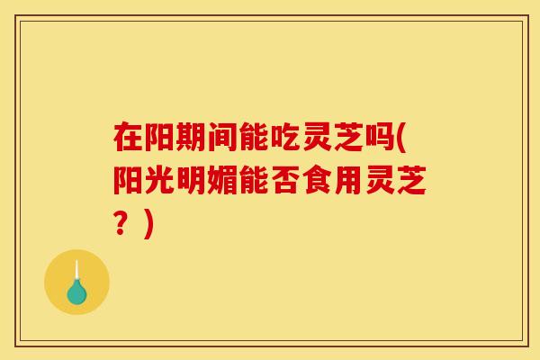 在阳期间能吃灵芝吗(阳光明媚能否食用灵芝?)