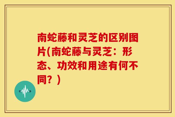 南蛇藤和灵芝的区别图片(南蛇藤与灵芝：形态、功效和用途有何不同？)