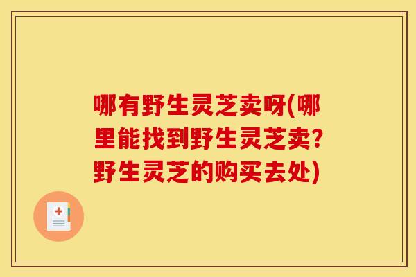 哪有野生灵芝卖呀(哪里能找到野生灵芝卖？野生灵芝的购买去处)
