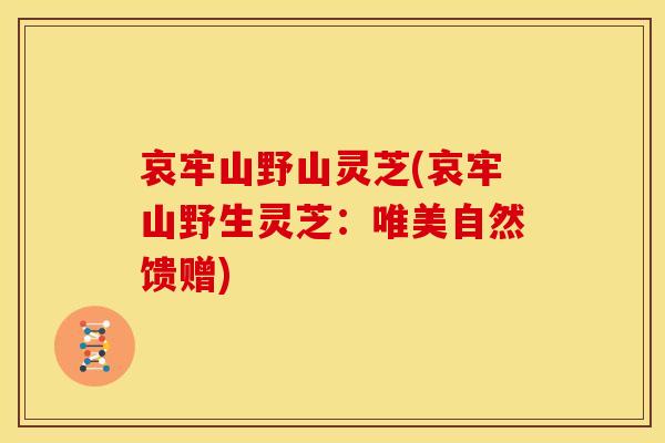 哀牢山野山灵芝(哀牢山野生灵芝:唯美自然馈赠)