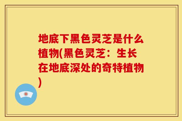 地底下黑色灵芝是什么植物(黑色灵芝:生长在地底深处的奇特植物)
