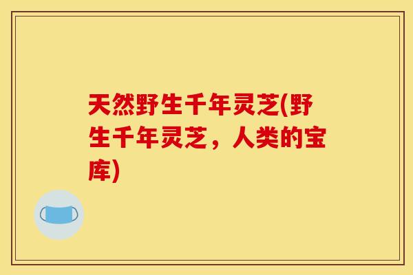 天然野生千年灵芝(野生千年灵芝,人类的宝库)