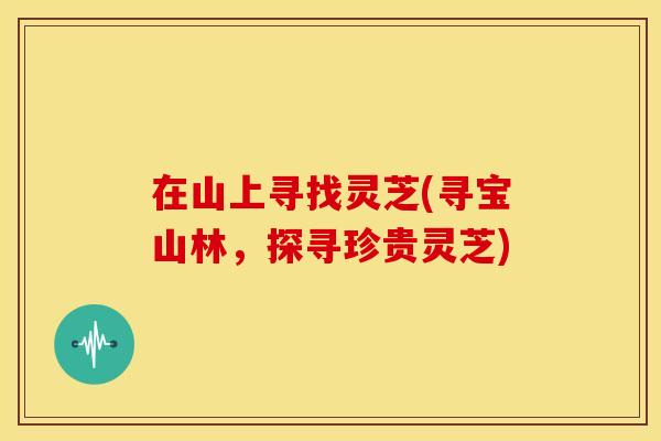 在山上寻找灵芝(寻宝山林，探寻珍贵灵芝)