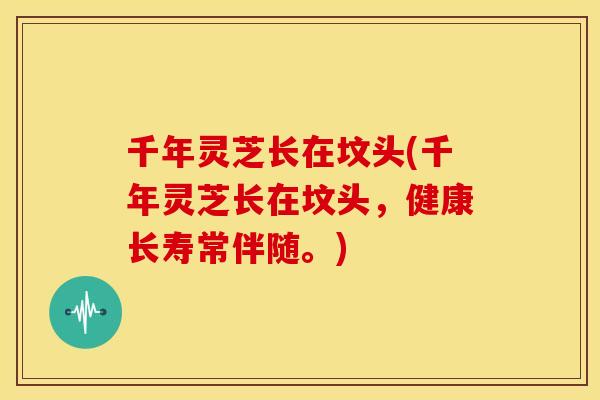 千年灵芝长在坟头(千年灵芝长在坟头,健康长寿常伴随。)