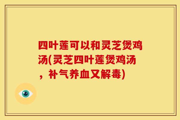四叶莲可以和灵芝煲鸡汤(灵芝四叶莲煲鸡汤,补气养血又解毒)