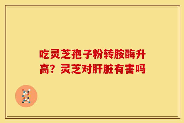 吃灵芝孢子粉转胺酶升高?灵芝对肝脏有害吗