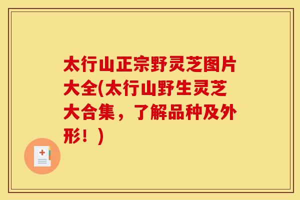 太行山正宗野灵芝图片大全(太行山野生灵芝大合集,了解品种及外形!)