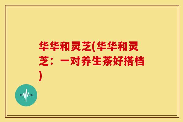 华华和灵芝(华华和灵芝:一对养生茶好搭档)