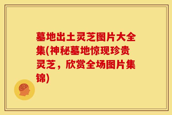 墓地出土灵芝图片大全集(神秘墓地惊现珍贵灵芝,欣赏全场图片集锦)