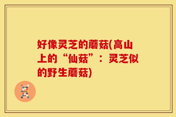 好像灵芝的蘑菇(高山上的“仙菇”:灵芝似的野生蘑菇)