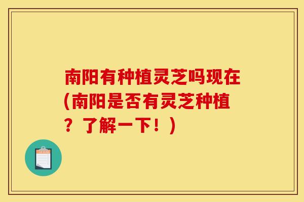 南阳有种植灵芝吗现在(南阳是否有灵芝种植?了解一下!)
