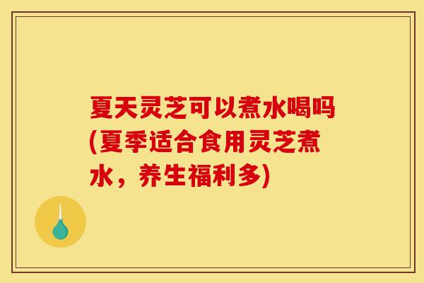 夏天灵芝可以煮水喝吗(夏季适合食用灵芝煮水，养生福利多)