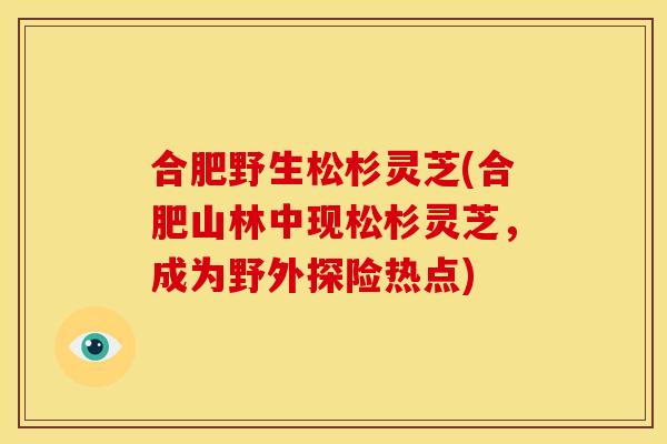 合肥野生松杉灵芝(合肥山林中现松杉灵芝,成为野外探险热点)