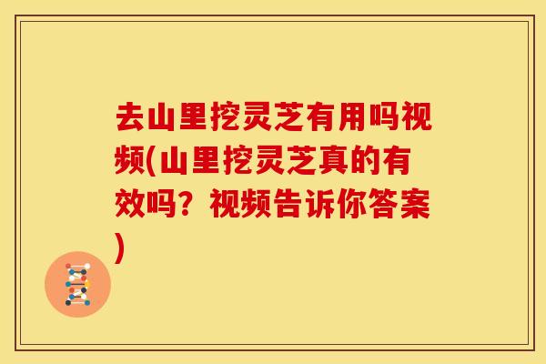去山里挖灵芝有用吗视频(山里挖灵芝真的有效吗？视频告诉你答案)