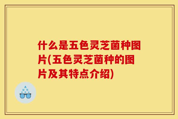 什么是五色灵芝菌种图片(五色灵芝菌种的图片及其特点介绍)