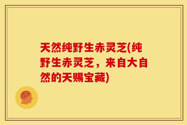 天然纯野生赤灵芝(纯野生赤灵芝，来自大自然的天赐宝藏)