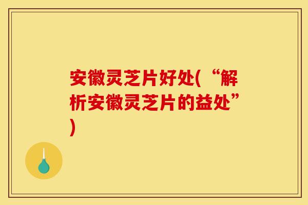安徽灵芝片好处(“解析安徽灵芝片的益处”)