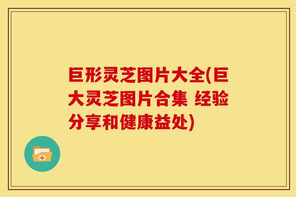 巨形灵芝图片大全(巨大灵芝图片合集 经验分享和健康益处)