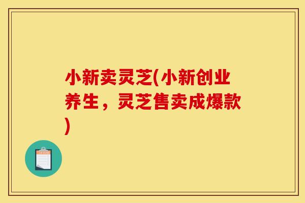 小新卖灵芝(小新创业养生，灵芝售卖成爆款)