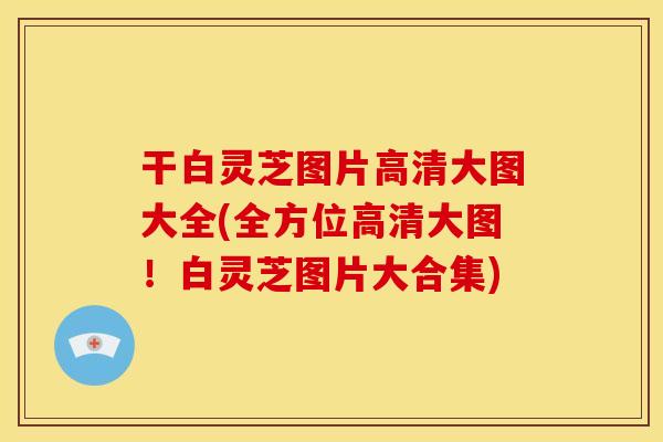 干白灵芝图片高清大图大全(全方位高清大图!白灵芝图片大合集)