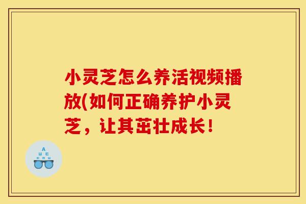 小灵芝怎么养活视频播放(如何正确养护小灵芝,让其茁壮成长!