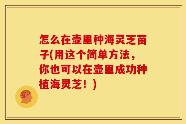 怎么在壶里种海灵芝苗子(用这个简单方法,你也可以在壶里成功种植海灵芝!)