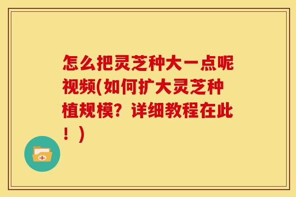 怎么把灵芝种大一点呢视频(如何扩大灵芝种植规模?详细教程在此!)