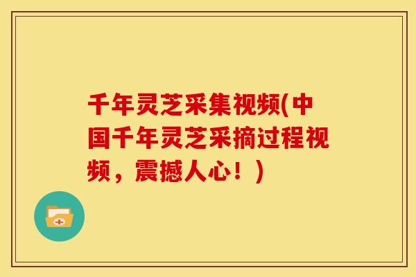 千年灵芝采集视频(中国千年灵芝采摘过程视频,震撼人心!)