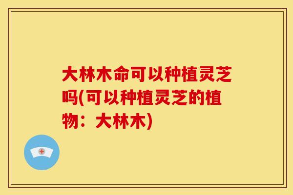 大林木命可以种植灵芝吗(可以种植灵芝的植物:大林木)